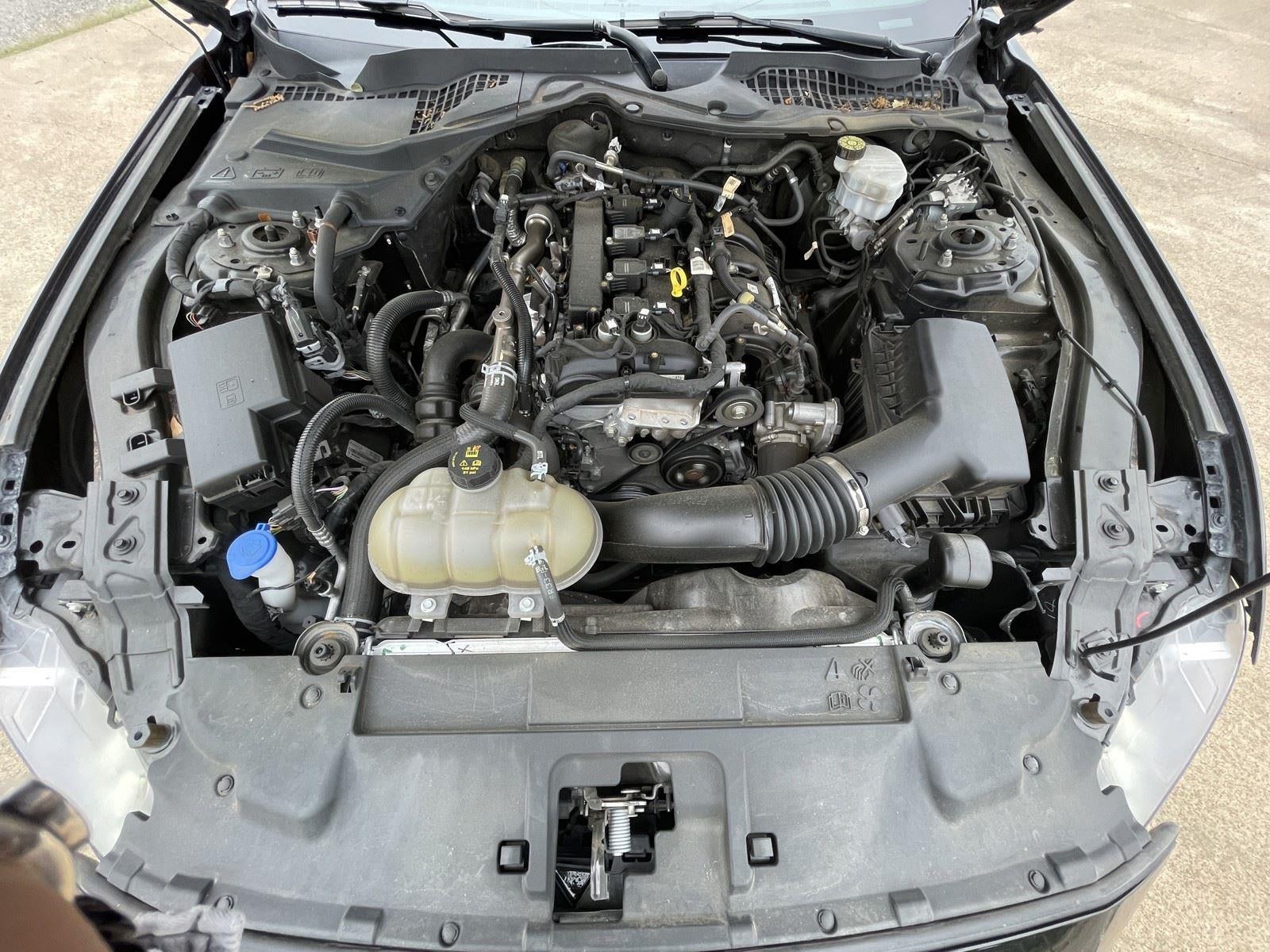2022 Ford Mustang EcoBoost
