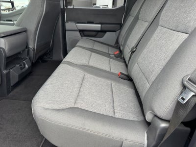 2024 Ford Super Duty F-250 SRW XL