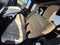2020 Jeep Wrangler Unlimited Black and Tan