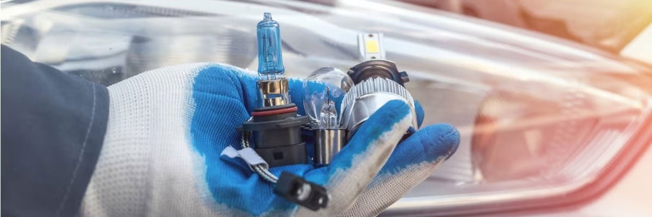 close up view of headlight bulbs